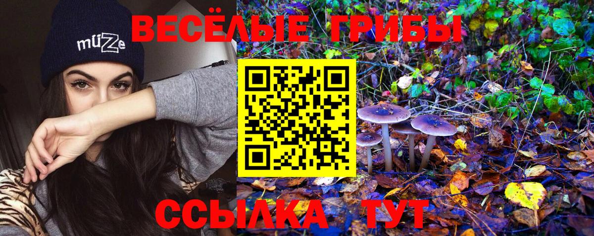 Ржев  Галлюциногенные грибы мухоморы  Вход с VPN  Псилоцибиновые грибы ЛСД 
