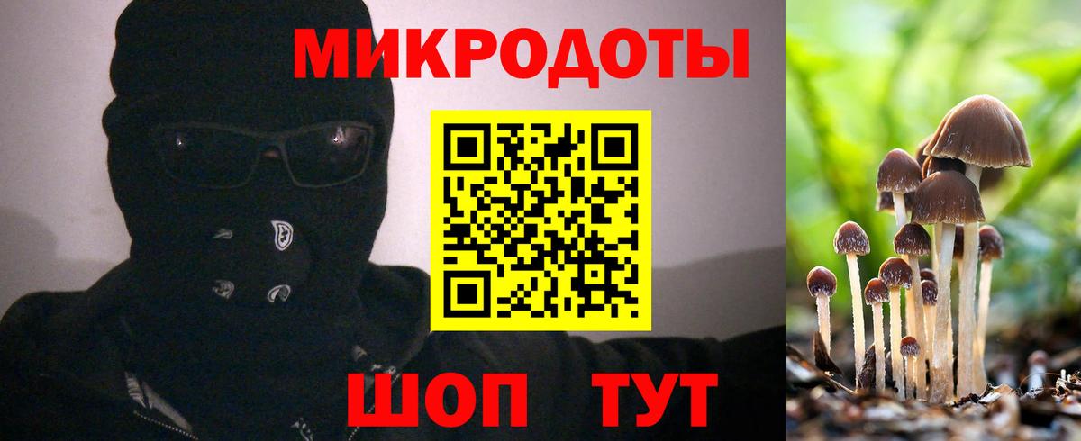 Псилоцибиновые грибы мицелий Ржев